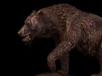 Статуэтка Медведь премиум из бронзы 