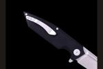 Складной нож Баланс (Х12МФ, G10, цвет черный)