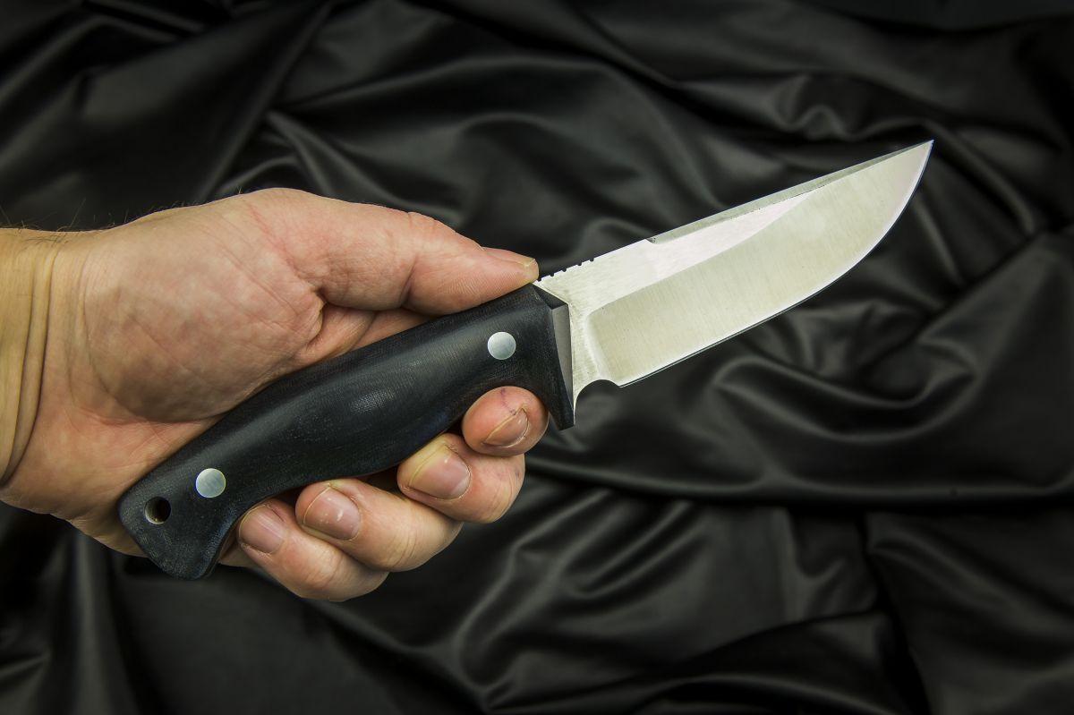 Нож Пальмира (х12мф, микарта, цельнометаллический)